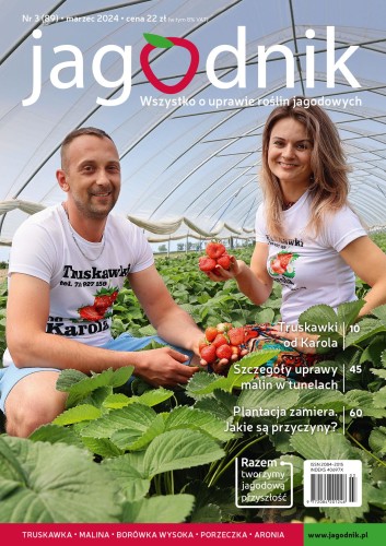 e-jagodnik_3-2024_okladka.jpg