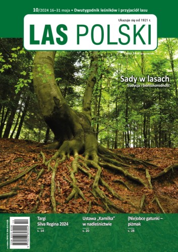 LP-10-2024 okladka.jpg