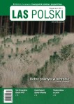 Las Polski nr 11/2024 r. (1885)