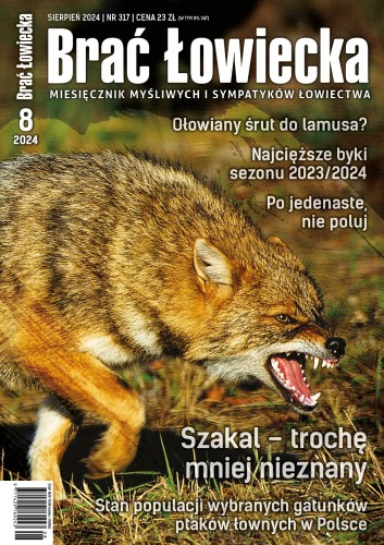okładka BŁ 8-2024.jpg