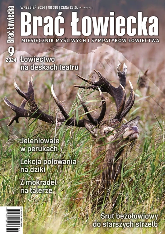 okładka BŁ 9-2024.jpg