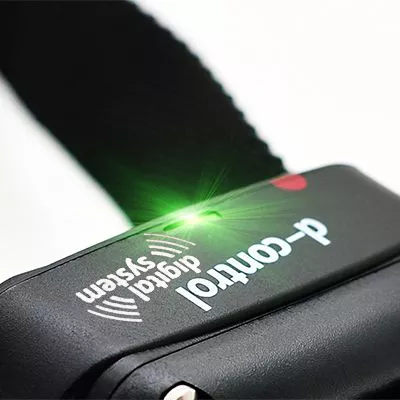 Elektroniczna obroża treningowa dla psa DOGTRACE d-control 1600
