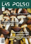 Las Polski nr 18/2024 r. (1890)