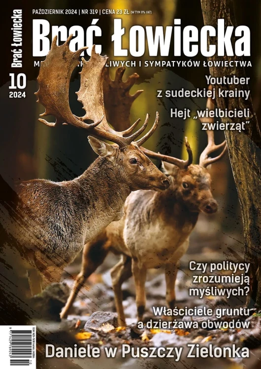 okładka BŁ 10-2024 zm.jpg