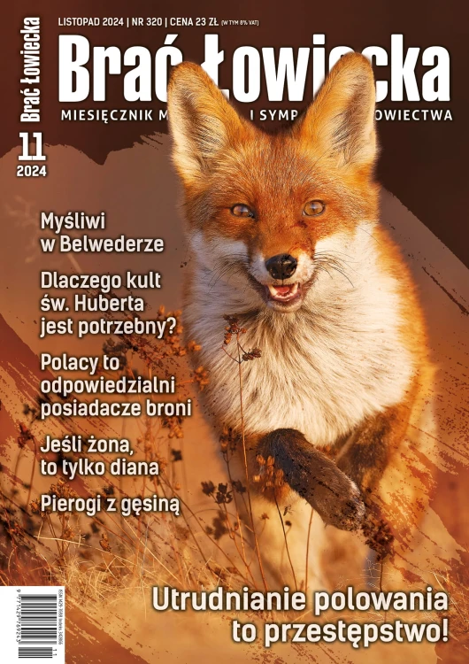 okładka BŁ 11-2024.jpg
