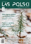 Las Polski nr 24/2024 r. (1896)