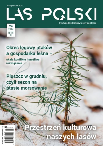 LP-24-2024 okladka.jpg