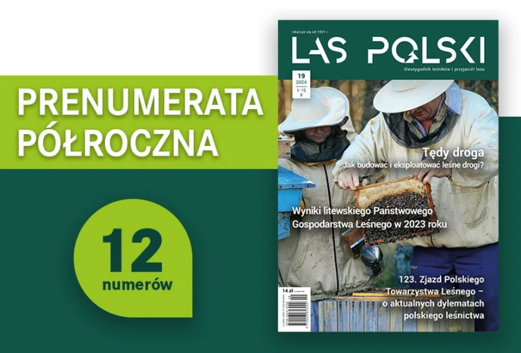 Prenumerata półroczna czasopisma „Las Polski” – 12 numerów magazynu leśnego dla leśników i pasjonatów przyrody