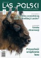 Las Polski nr 04/2025 r. (1900)