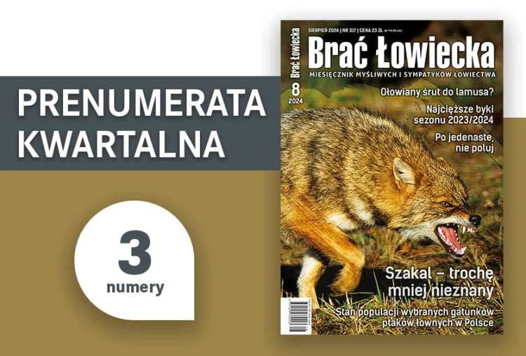 Prenumerata kwartalna czasopisma „Brać Łowiecka” – 3 numery magazynu dla myśliwych i pasjonatów łowiectwa