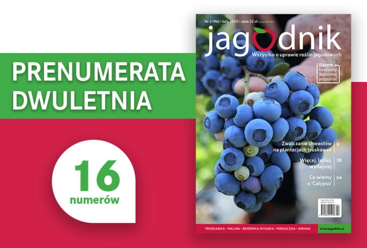 Prenumerata dwuletnia czasopisma „Jagodnik” – 16 numerów magazynu dla sadowników i działkowców o uprawie roślin jagodowych
