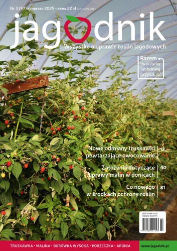 Jagodnik nr 03.2025 r. Marzec (97)