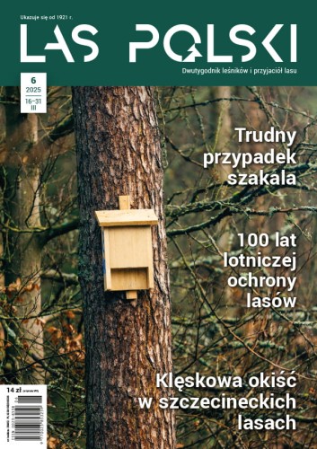 Las Polski nr 06/2025 r. (1902)