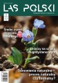 Las Polski nr 08/2025 r. (1904)