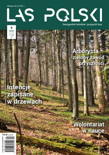 Las Polski nr 09/2025 r. (1905)