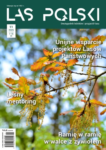 Las Polski nr 11/2025 r. (1907)