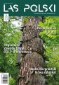 Las Polski nr 12/2025 r. (1908)