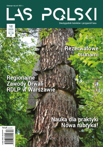 Las Polski nr 12/2025 r. (1908)