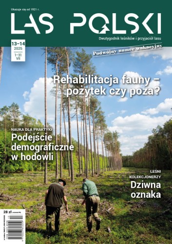 Las Polski nr 13-14/2025 r. (1909)