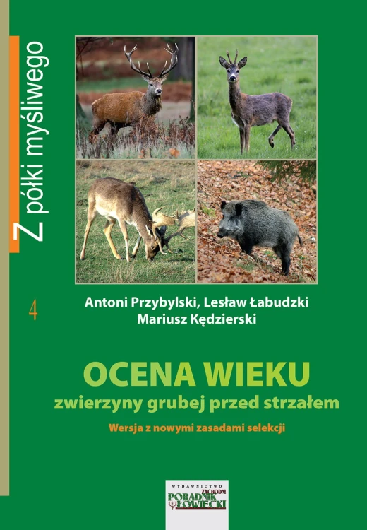 Jak określić wiek jeleni, danieli i saren, Ocena wieku zwierzyny grubej przed strzałem