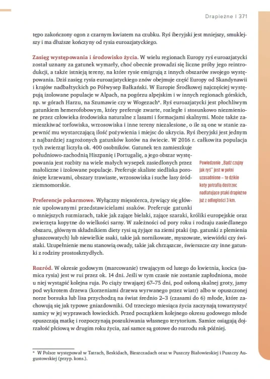 Tropy i ślady zwierząt Europy - Josha Grolms Ryś