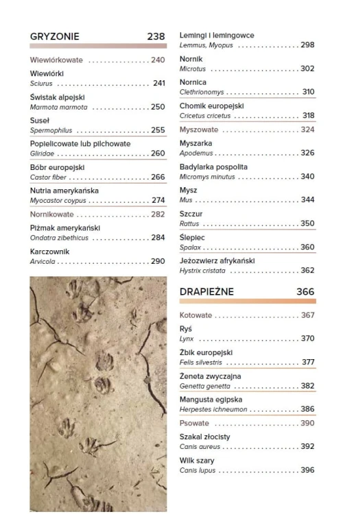 Tropy i ślady zwierząt Europy - Josha Grolms spis treści