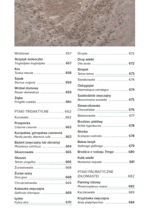 Tropy i ślady zwierząt Europy - Josha Grolms spis treści