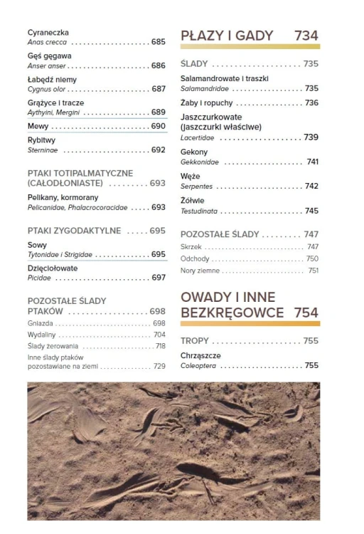 Tropy i ślady zwierząt Europy - Josha Grolms spis treści
