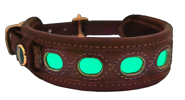 Obroża skórzana fluorescencyjna Niggeloh XS 30-40 cm dla psa