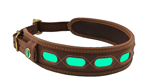 Obroża dla psa skóra fluorescencyjna rozm.M (48-60cm) 2417 00015