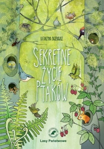 Sekretne życie ptaków Katarzyna Bajerowicz – książka przyrodnicza dla dzieci o ptakach