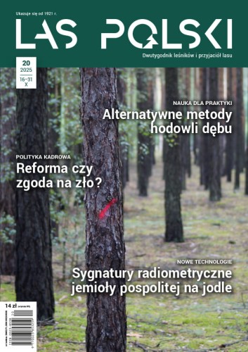 Las Polski nr 20/2025 r. (1914)