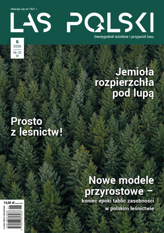 magazyn Las Polski dla leśników Las Polski nr 06/2026 r. (1924)