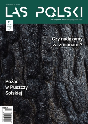 LP-2026-11-okladka-scaled.jpg