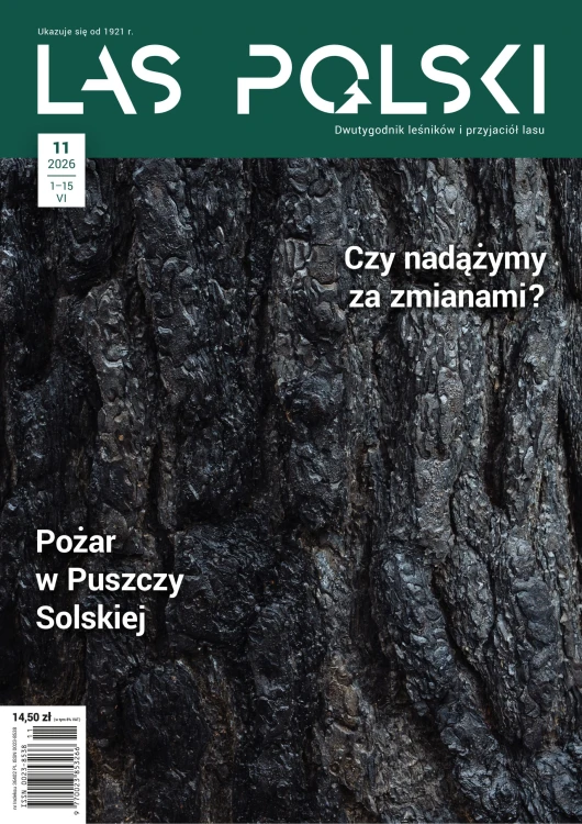 LP-2026-11-okladka-scaled.jpg