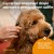 Nożyczki do strzyżenia Fiskars PET CARE podczas podcinania sierści psa zgodnie z kierunkiem wzrostu włosa