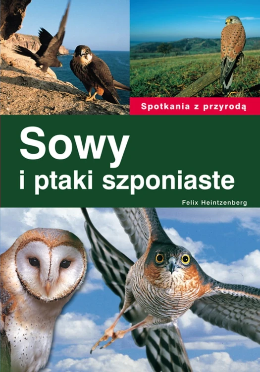 Sowy i ptaki szponiaste Felix Heintzenberg - książka o europejskich ptakach okładka książki