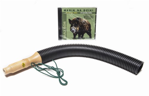 Wabik na dzika (chrząkanie dzika)