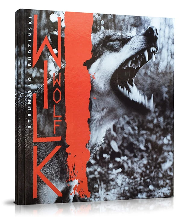 Album Wilk Wolf Strumiłło Budziński – wyjątkowy album o wilkach