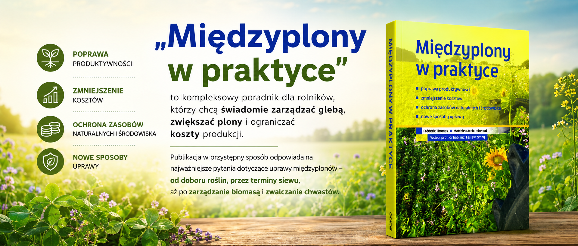 Międzyplony w praktyce - Frédéric Thomas Matthieu Archambeaud
