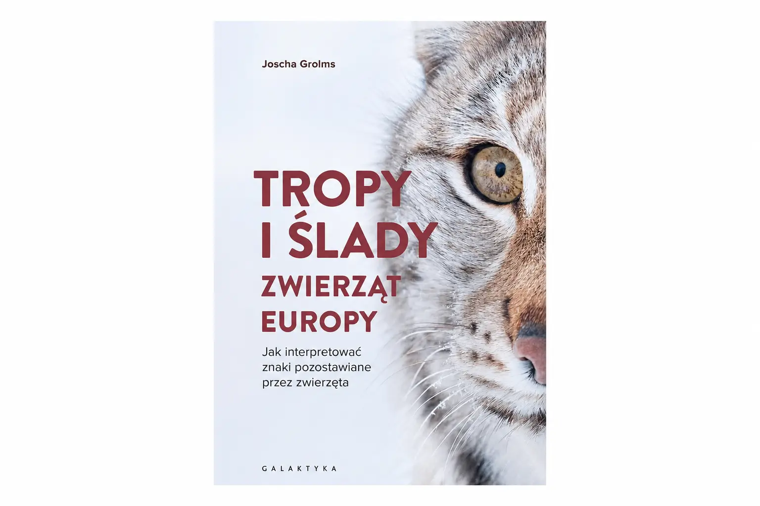Encyklopedia śladów zwierząt żyjących w Europie. Recenzja książki „Tropy i ślady zwierząt Europy”